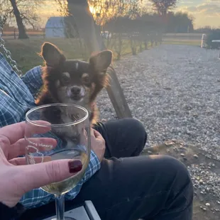 Indian Spring Winery