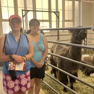 During the IN State Fair in August