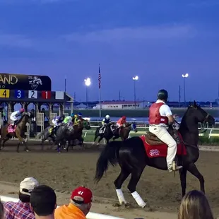 Horse races!!