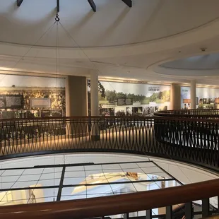 Limberlost and Found exhibit
