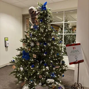 Festival of Trees 2024