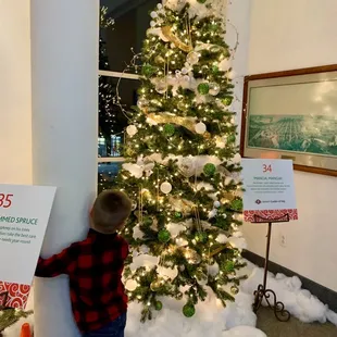 2022 Festival of Trees