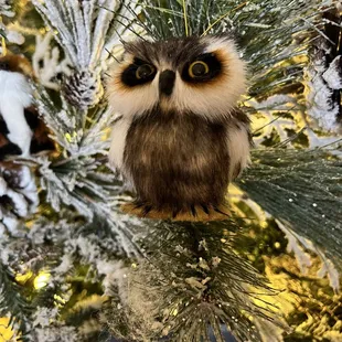 Loved the owl tree