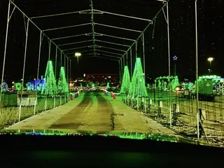 Dasher's Light Show