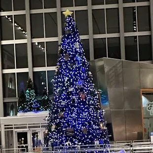 Christmas tree on 2nd floor!