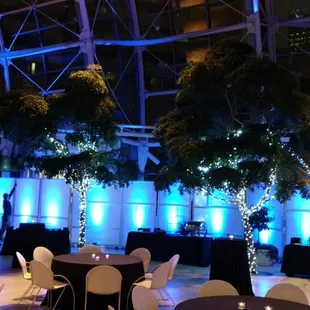 Beautiful lighting at the Artsgarden