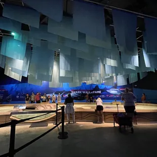 Shark exhibit in June 2022