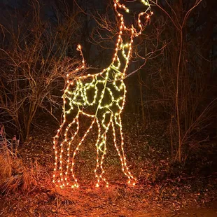Christmas 2024