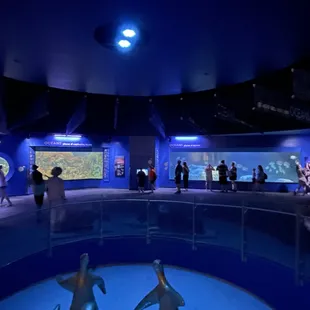 Oceans in June 2022