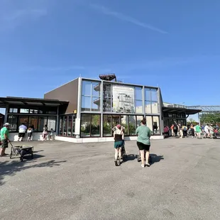 New chimpanzee exhibit