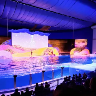 Dolphin Show at Indianapolis Zoo