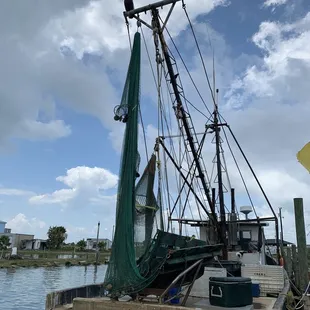 Shrimp boat with a pelican.