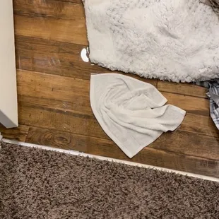 toilet bedroom and bathroom