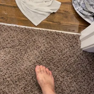 toilet bedroom and bathroom
