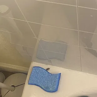 Roach in the bathroom near my cleaning sponge