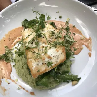 Halibut