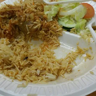 Dead fly in chicken biriyani..