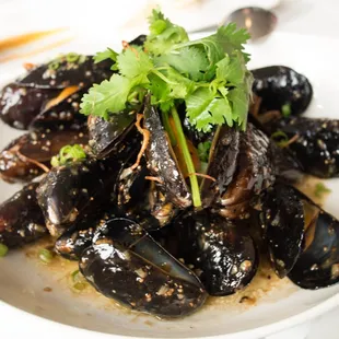 Black Mussels
