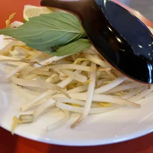 Indochin Vietnamese Restaurant