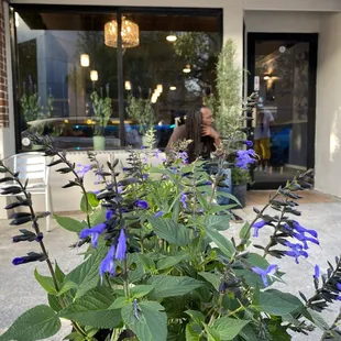 Welcome to Indulgence Southern Bistro 315 W Forsyth St