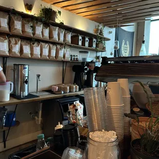 a woman working in a coffee shop