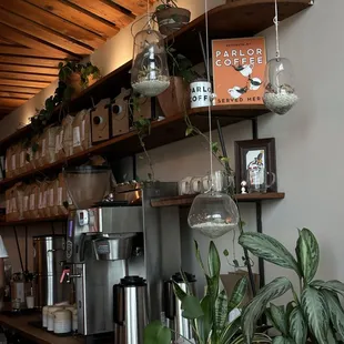 a coffee shop with a variety of potted plants