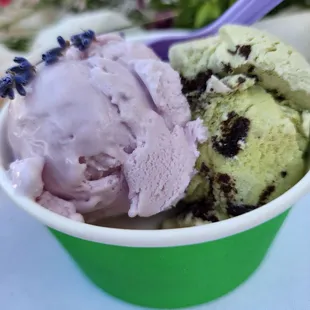 Honey Lavender + Matcha Made in Heaven