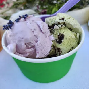 Honey Lavender + Matcha Made in Heaven