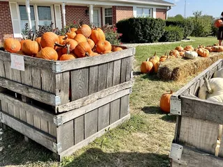 Pleasant View Orchard