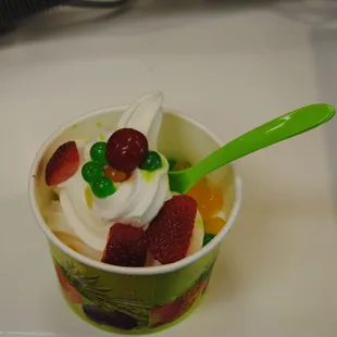 Frozen Yogurt made by you