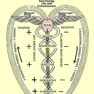 We are energy and it pulsates and vibrates cyclically.