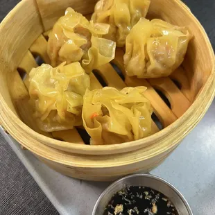 Thai Dumplings