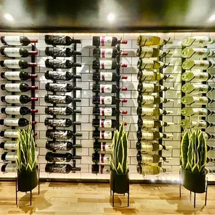 Wine Selection