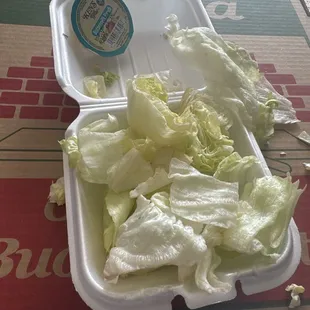 Apparently side salads are lettuce only ‍