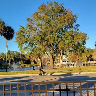 a man riding a skateboard in a park