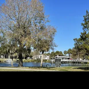a park with a fountain and palm trees