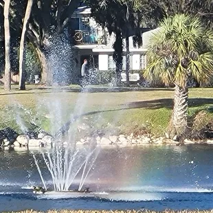 a fountain in a park