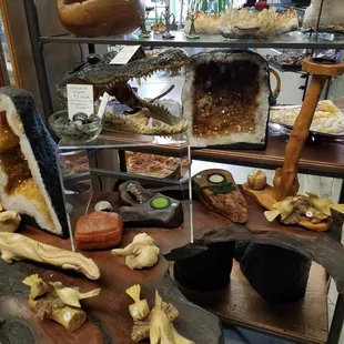 Curiosities and bones.