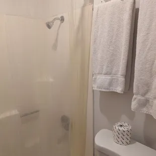 Remodeled shower