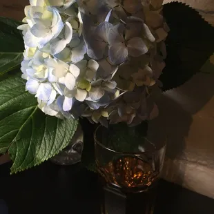 Does any body has idea what&apos;s the name of this flower? I bought this flower in this shop but forget her name...