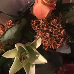 Inglis Florists