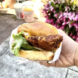 Crispy Chicken Sandwich