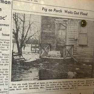 Local News out in lobby on walls