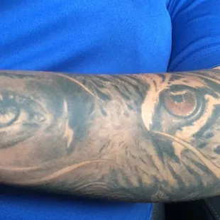 Faded!! Tiger eye looks droopy and overworked!