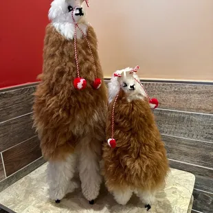 Cuties