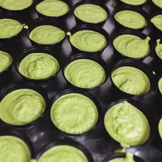 Aji Verde