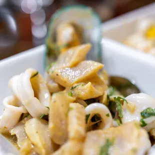 Ceviche Mixto
