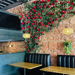 the roses on the wall