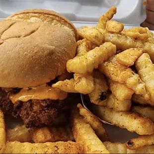 a hamburger and french fries