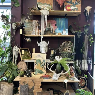 A variety of projects to choose from